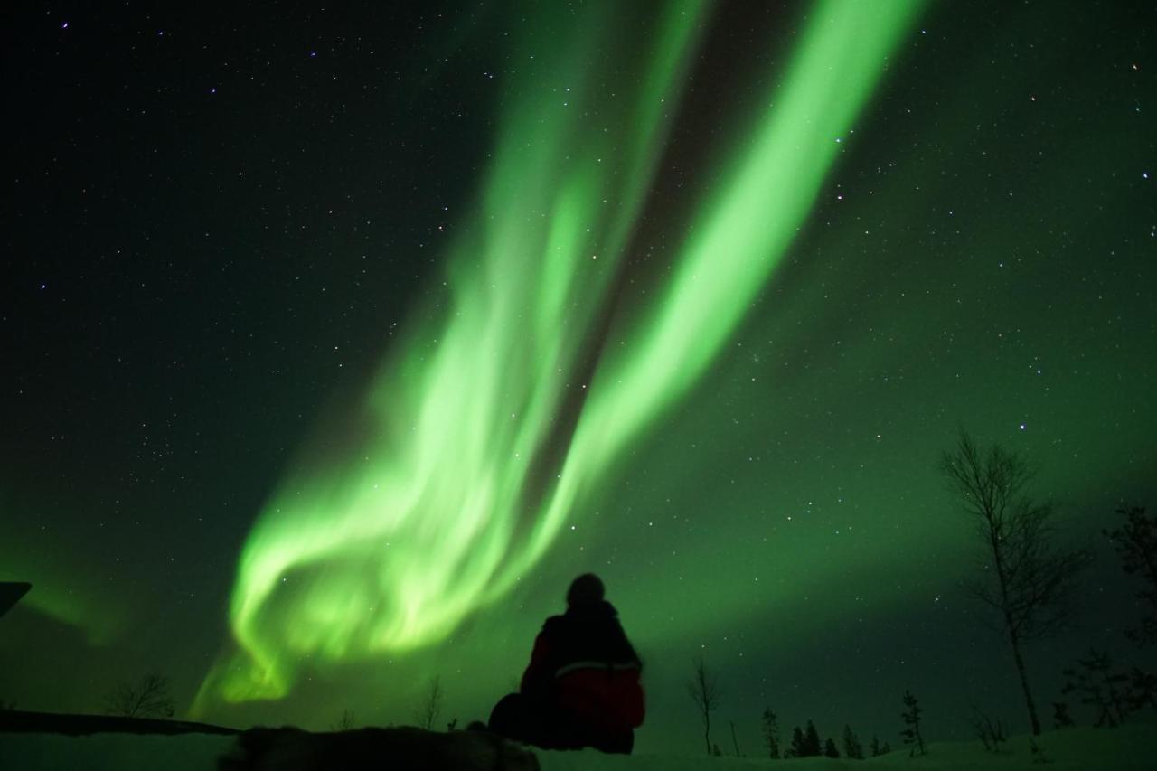 Arctic City Nest Rovaniemi Exteriér fotografie